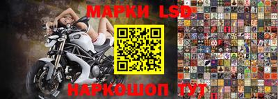 apvp Партизанск