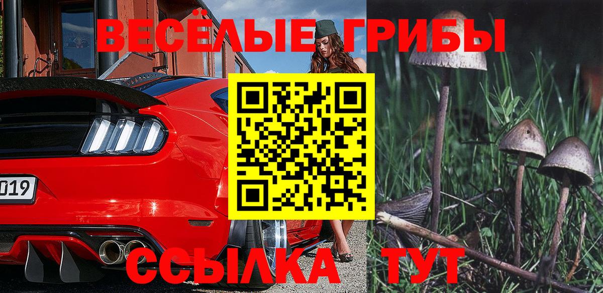 Приморско-Ахтарск  Псилоцибиновые грибы GOLDEN TEACHER  Вход с VPN 