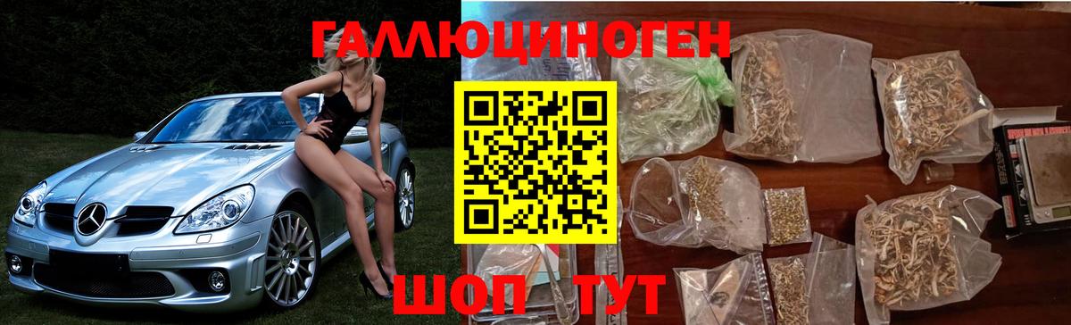 Галлюциногенные грибы MAGIC MUSHROOMS Приморско-Ахтарск